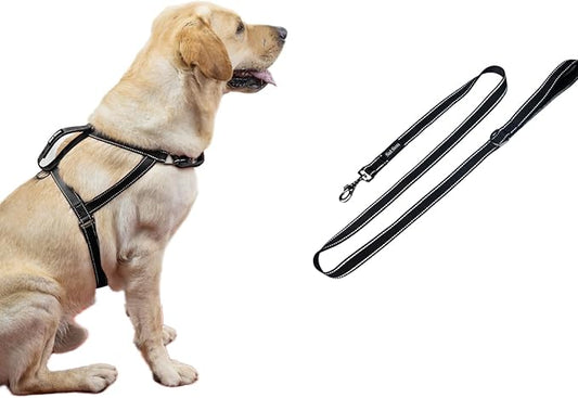 SATSUN Dog Harness & Leash Set, No Pull Dog Harness with 2 Adjustable Points & 1 Leash Clip, Reflective Comfortable Dog Vest with Easy Control Handle Ideal for Walking and Training, Black,L