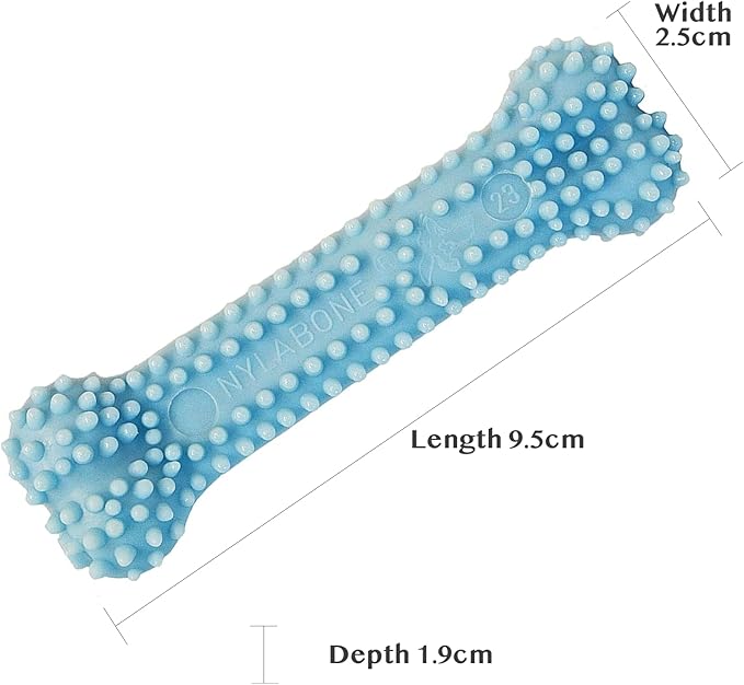 Nylabone Puppy Teething and Soothing Chew Toy - Puppy Chew Toys for Teething - Puppy Supplies - Chicken Flavor, Blue, X-Small/Petite (1 Count)