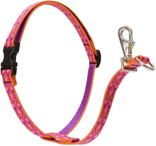 LupinePet Originals 3/4" Alpen Glow 16-26" No Pull Harness for Small-Medium Dogs