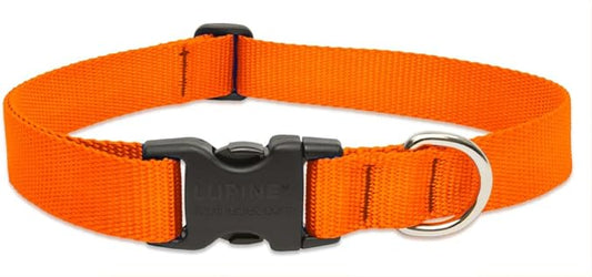 LupinePet Basics 1" Blaze Orange 25-31" Adjustable Collar for Extra Large Dogs