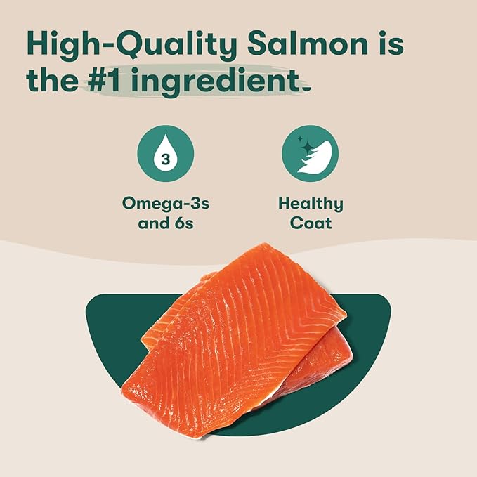 Jinx Tenders Salmon Jerky Dog Treats, All-Natural Ingredients, Soft and Chewy, Low-Calorie, Slow-Smoked Salmon & Pumpkin, No Fillers, 5oz, 6 Pack