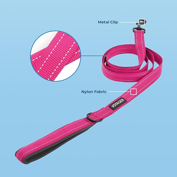 Voyager Reflective Dog Leash Collar Set with Neoprene Handle Supports Small, Medium, and Large Breed Puppies, Cute and Heavy Duty for Walking, Running, and Training - Fuchsia, S