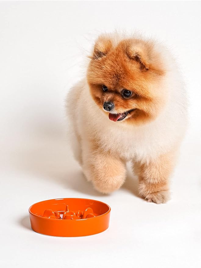LE TAUCI Ceramic Slow Feeder Dog Bowls Small Breed, 0.6 Cups Dog Food Dish for Fast Eaters, Puzzle Bowl for Small Dogs and Cats,Orange