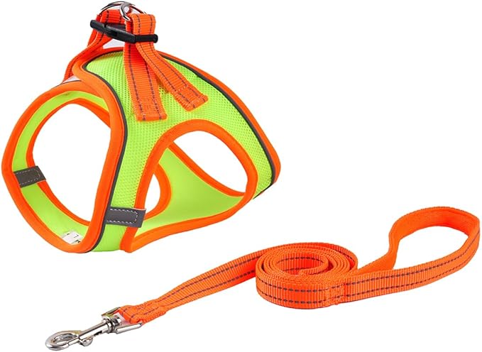 Soft Mesh Dog Harness and Leash Set, No-Chock Step-in Reflective Breathable Lightweight Easy Walk Escape Proof Vest Harnesses with Safety Buckle for Small Medium Dogs, Cats (Green, XSmall)