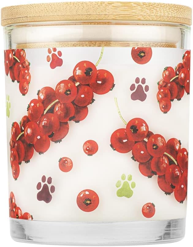 One Fur All Pet House Candle 2 Pack - Plant-Based/Soy Candle - Clean Burning Scented Candles, Long Lasting Pet Odor Candle for Home - Red Currant