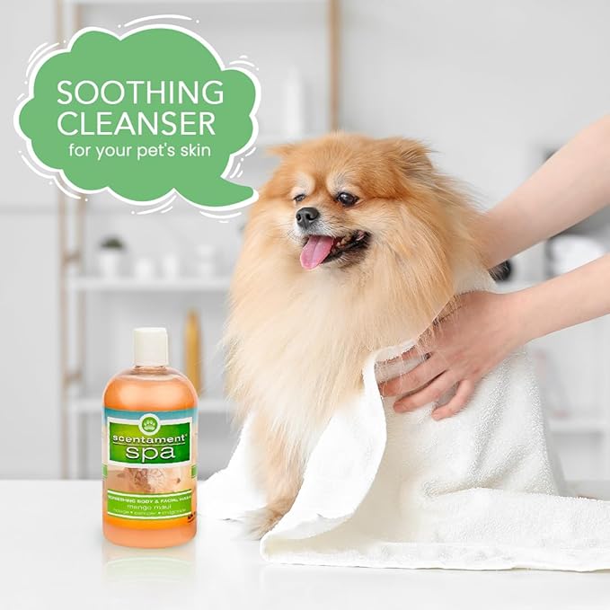 Best Shot Scentament Spa Seasonal Facial & Body Wash, Mango Maui, 16 oz