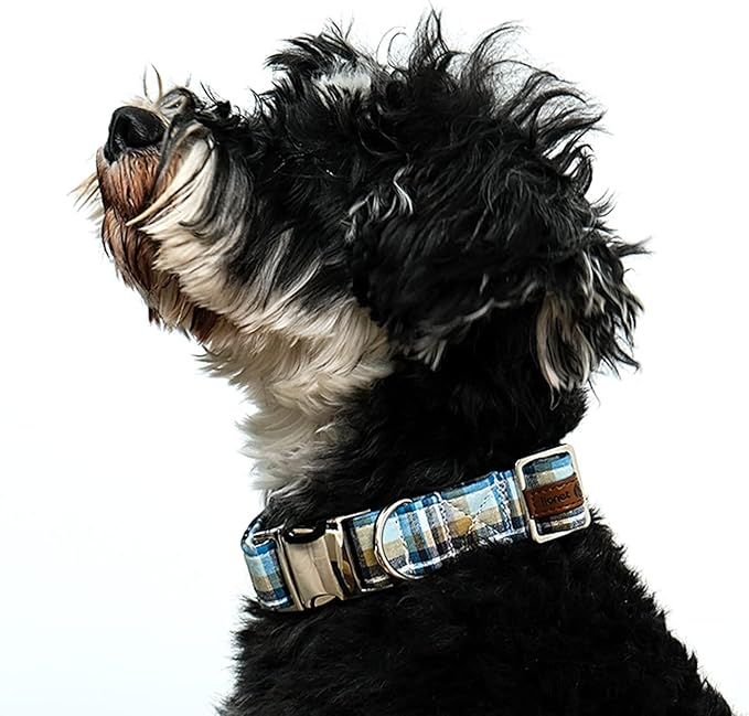 Lionet Paws Boy Dog Collar, Comfortable Adjustable Cute Blue Plaid Collar with Metal Buckle for Male Dogs Gift, Small, Neck 10-16 inches
