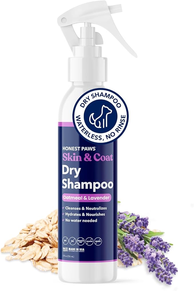 Honest Paws Dog Dry Shampoo - Waterless No Rinse Foaming Formula Reducing Itch Cleanse Hydrate Nourish Dry Skin and Smelly Coat Help Decrease Odor Shedding and Allergies - Oatmeal & Lavender - 8 fl oz
