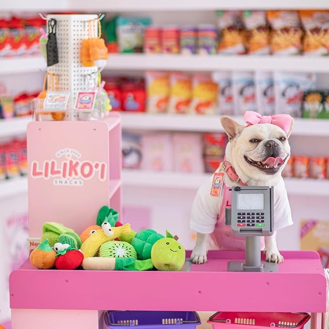 Nocciola Small Dog Toys- 15 Pack Grocery Bag Fruits and Veggies Dog Squeaky Toys, Small Puppy Toys to Keep Them Busy, Durable Plush Toys for Medium Dogs Aggressive Chewers, Dog Accessories Girl