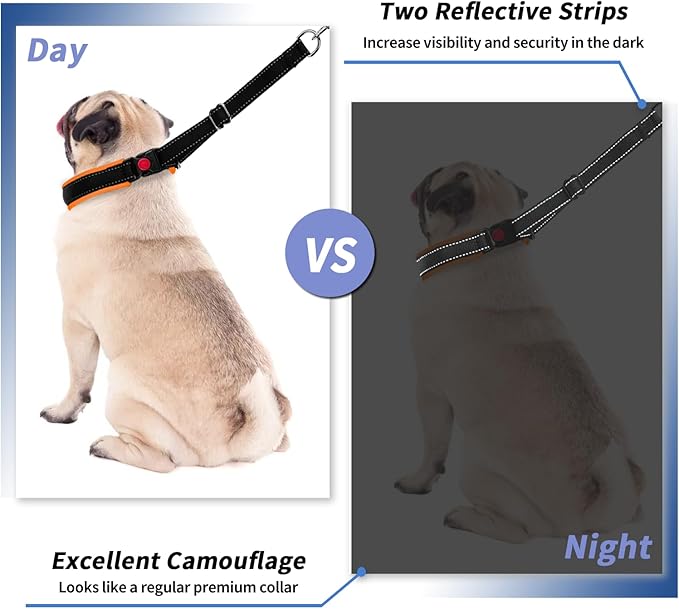 Martingale Collar for Dogs, Heavy Duty Nylon No Pull Dog Collar with Buckle, Adjustable Anti Pull Collar Reflective Slip Collar for Large Medium Small Dog Training Walking M Orange