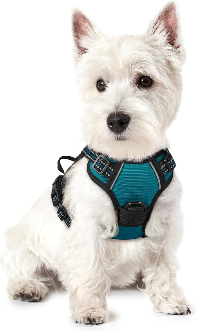 rabbitgoo Dog Harness, No-Pull Pet Harness with 2 Leash Clips, Adjustable Soft Padded Dog Vest, Reflective No-Choke Pet Oxford Vest with Easy Control Handle for Small Dogs, Blue Coral, XS