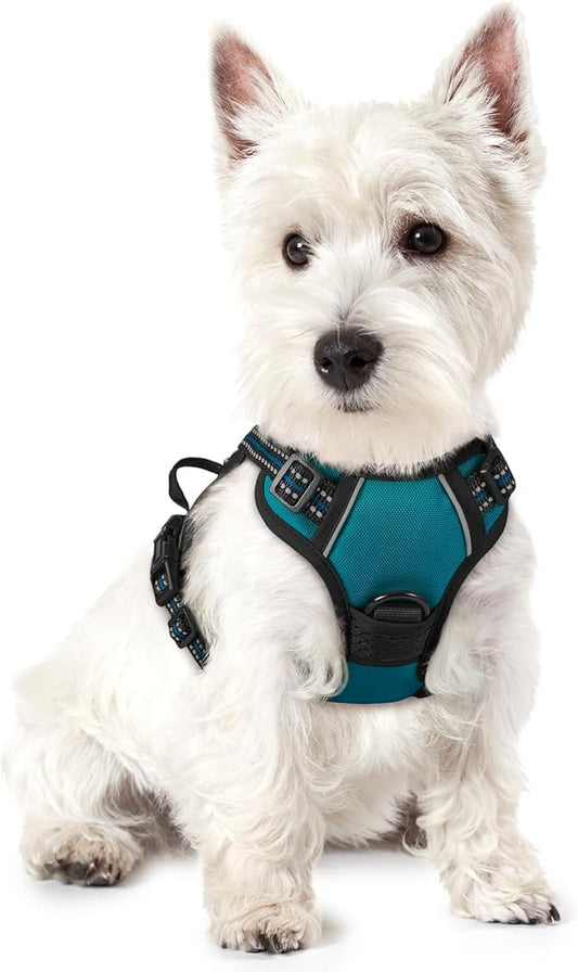 rabbitgoo Dog Harness, No-Pull Pet Harness with 2 Leash Clips, Adjustable Soft Padded Dog Vest, Reflective No-Choke Pet Oxford Vest with Easy Control Handle for Small Dogs, Blue Coral, XS