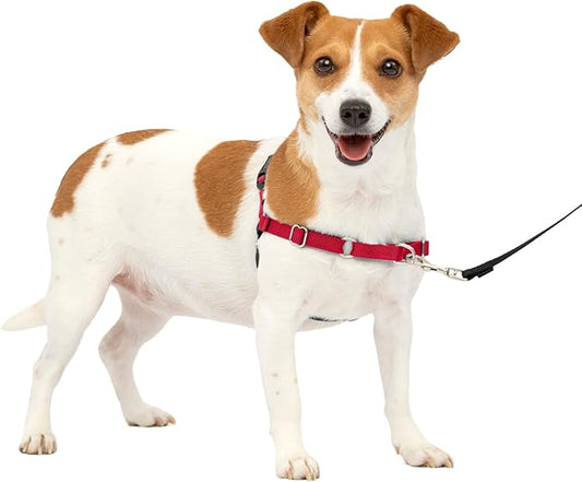 PetSafe Easy Walk No-Pull Dog Harness - The Ultimate Harness to Help Stop Pulling - Take Control & Teach Better Leash Manners - Helps Prevent Pets Pulling on Walks, Small, Red/Black