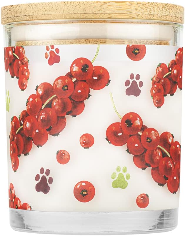 One Fur All Pet House Plant-Based/Soy Candle - Clean Burning, Long Lasting Pet Odor Eliminator for Home - Red Currant Scent