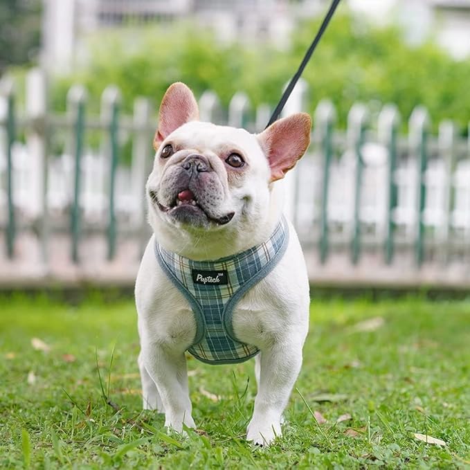 PUPTECK Soft Mesh Dog Harness and Leash Set Pet Puppy Cat Comfort Padded Vest No Pull Harnesses, Sky Blue, XS