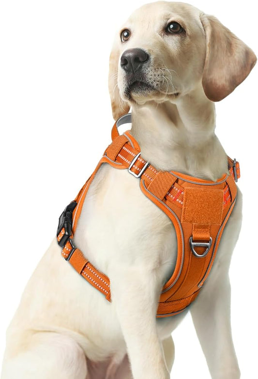 rabbitgoo Dog Harness Medium Sized No Pull, Tactical Service Dog Vest with Molle and Control Handle, Adjustable and Reflective Military Pet Harness for Easy Walking and Training, Orange, M