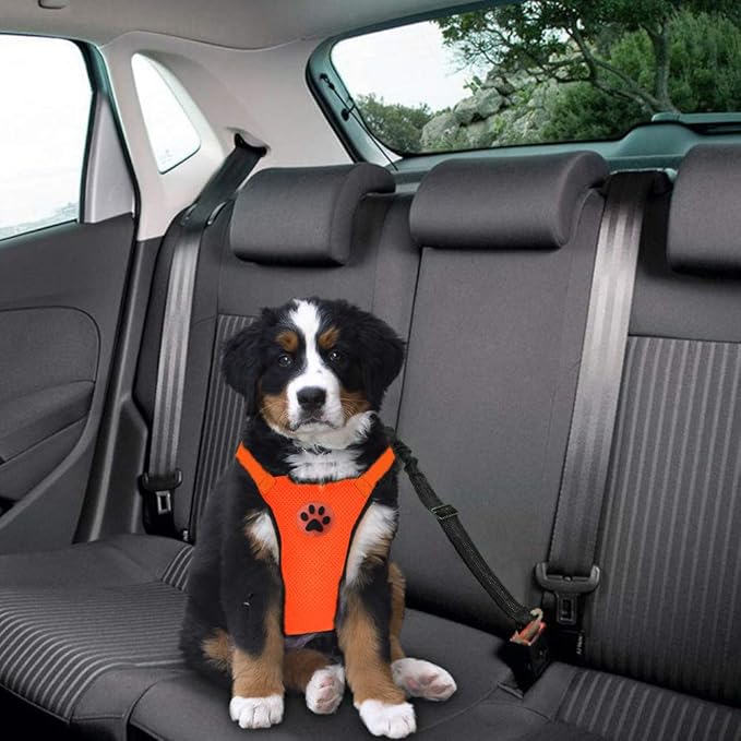 SlowTon Dog Seat Belt Harness for Car, Dog Car Harness Adjustable Mesh Breathable & Dog Seatbelt Safety Tether with Elastic Bungee for Small Medium Large Pets