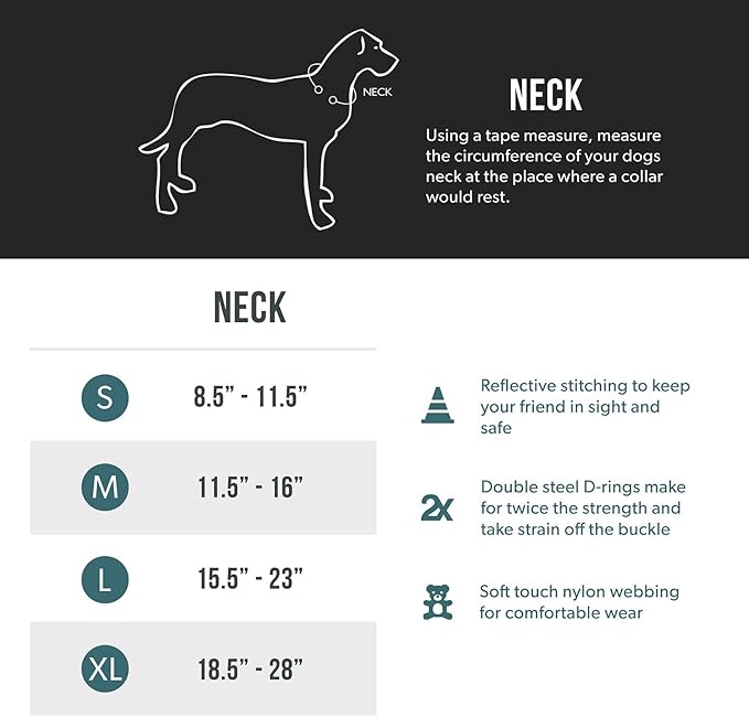 EzyDog Double Up Premium Nylon Dog Collar with Reflective Stitching - Double D-Rings for Superior Strength, Safety, and Comfortability - Non-Rusting and Includes an ID Attachment (Medium, Bubble Gum)