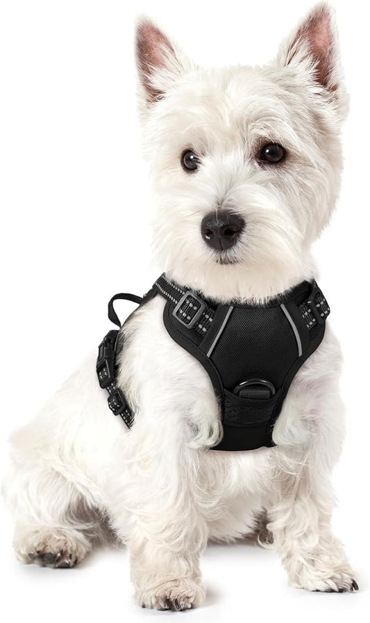rabbitgoo Dog Harness, No-Pull Pet Harness with 2 Leash Clips, Adjustable Soft Padded Dog Vest, Reflective No-Choke Pet Oxford Vest with Easy Control Handle for Small Dogs, Black, X-Small
