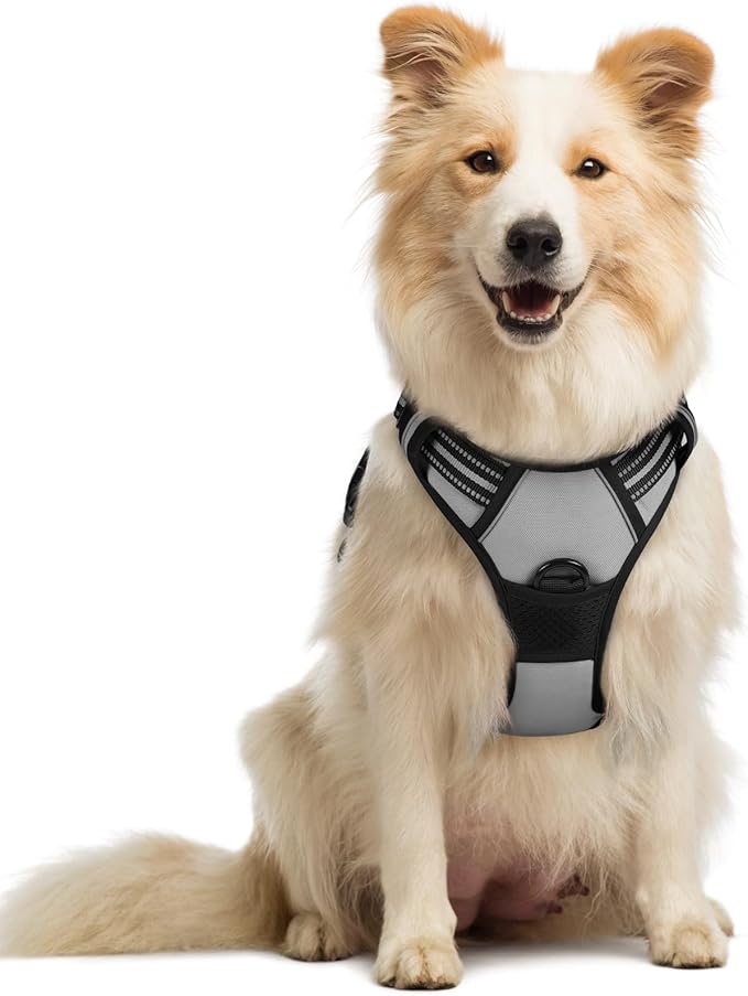 rabbitgoo Dog Harness, No-Pull Pet Harness with 2 Leash Clips, Adjustable Soft Padded Dog Vest, Reflective No-Choke Pet Oxford Vest with Easy Control Handle for Medium Dogs, Grey, M