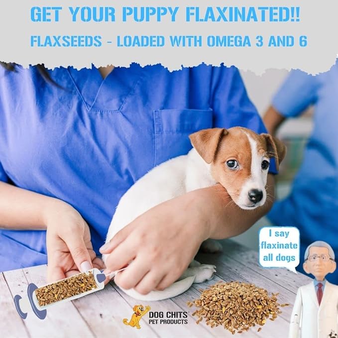 Dog Chits Lamb and Flaxseed Soft Chew for Dogs - Dog and Puppy Chews | Made in USA | USA Lamb | All Natural Treats | Large and Small Dogs | Rich in Omega 3 and 6 Flaxseeds | 4 oz.