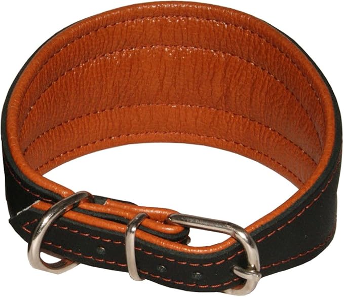 Real Leather Extra Wide Padded Tapered Dog Collar Glossy Black Greyhound Saluki Deerhound Lurcher Whippet Dachshund (14.25"-17" Neck; 2.5" Wide, Toffee)