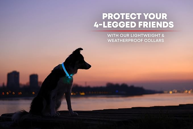 ILLUMISEEN LED Dog Collar USB Rechargeable - Bright & High Visibility Lighted Glow Collar for Pet Night Walking - Weatherproof, in 6 Colors & 6 Sizes (Blue X-Large)
