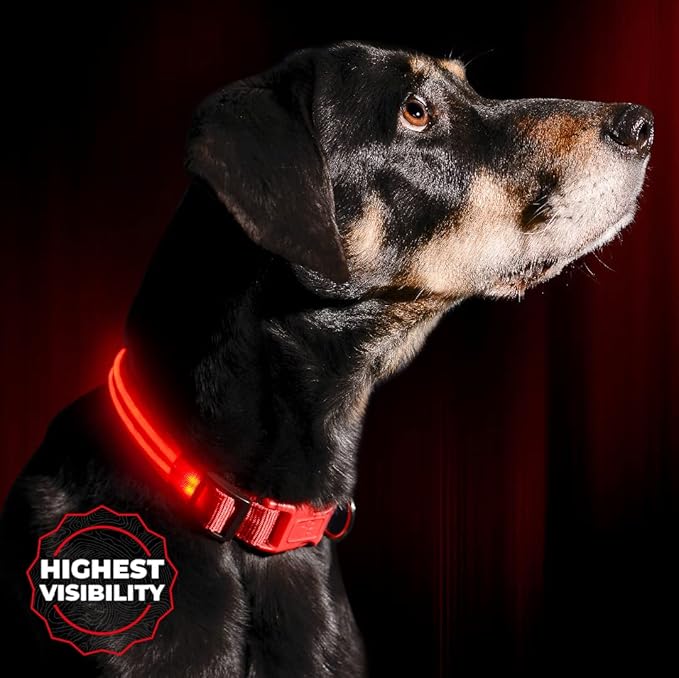 Illumiseen LED Dog Collar USB Rechargeable - Bright & High Visibility Lighted Glow Collar for Pet Night Walking - Weatherproof, in 6 Colors & 6 Sizes (Red X-Large)