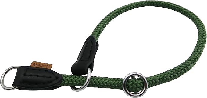 Braided Rope Collar, Pro Training Dog Collar, No Pull Round Martingale Collar, Slip Collar with Slidable Stop Ring - Ideal for Extra Small Dogs (XS (1/4") - 14" Long, Dark Green)