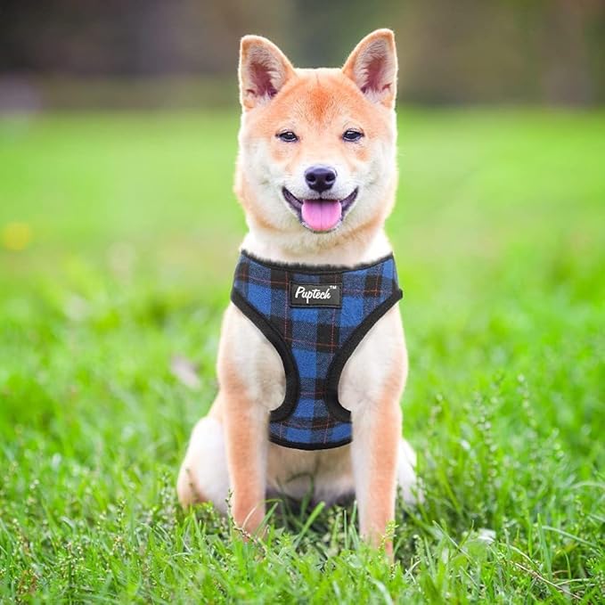 PUPTECK Soft Mesh Dog Harness and Leash Set Pet Puppy Cat Comfort Padded Vest No Pull Harnesses, Navy Blue, M