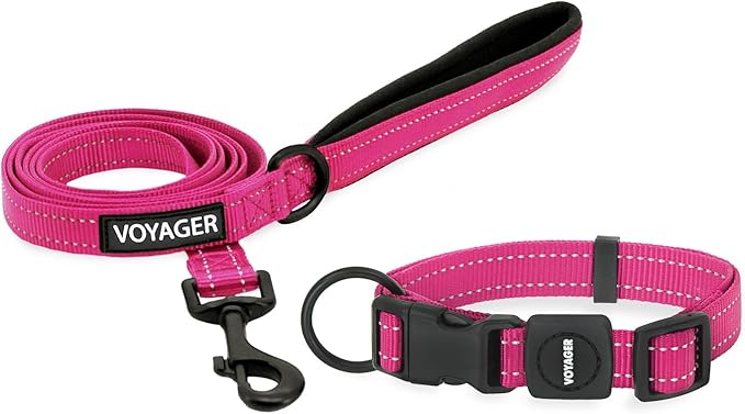 Voyager Reflective Dog Leash Collar Set with Neoprene Handle Supports Small, Medium, and Large Breed Puppies, Cute and Heavy Duty for Walking, Running, and Training - Fuchsia, S