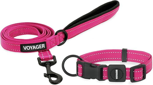 Voyager Reflective Dog Leash Collar Set with Neoprene Handle Supports Small, Medium, and Large Breed Puppies, Cute and Heavy Duty for Walking, Running, and Training - Fuchsia, L