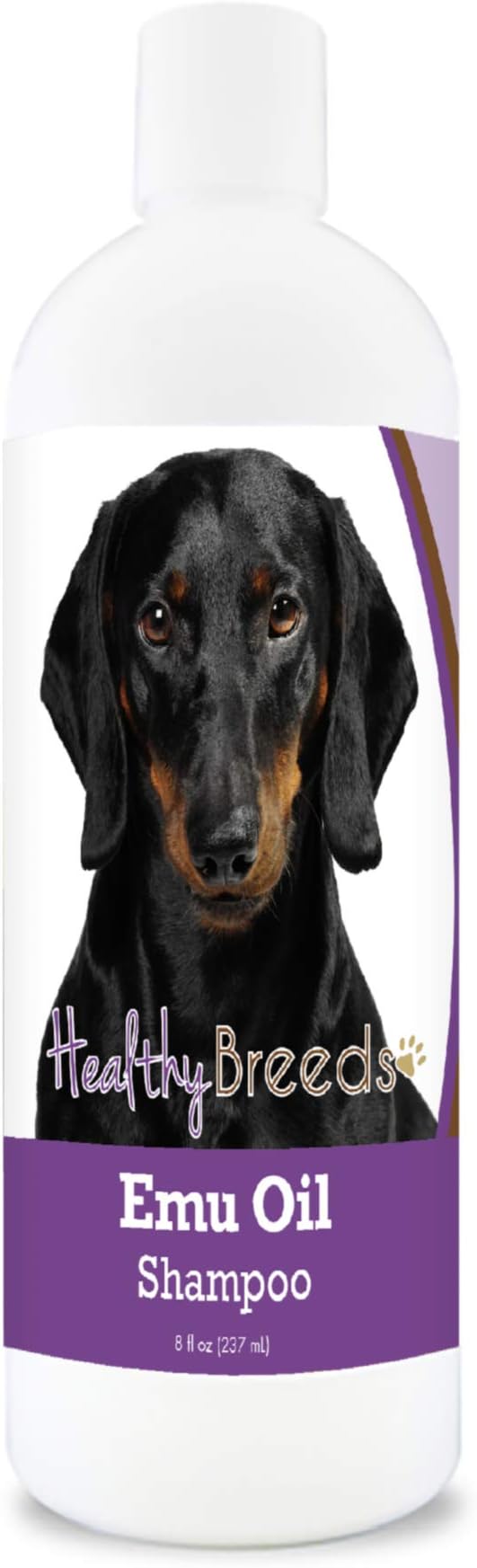 Healthy Breeds Dachshund Emu Oil Shampoo 8 oz