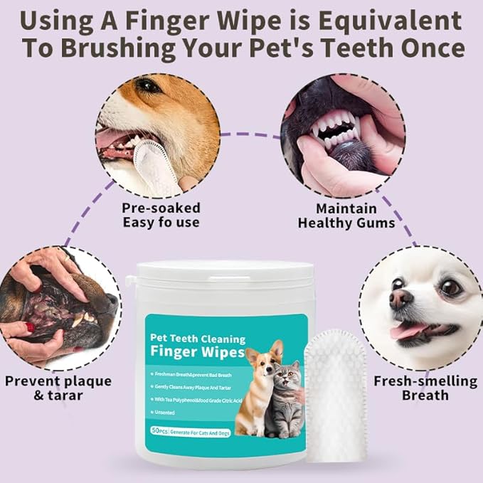 coldchill Pet Teeth Cleaning Finger Wipes, Remove Bad Breath by Removing Plaque and Tartar Buildup, No-Rinse Dogs & Cats Finger Toothbrush, Disposable Gentle Cleaning Care Pet Wipes, 50 Counts