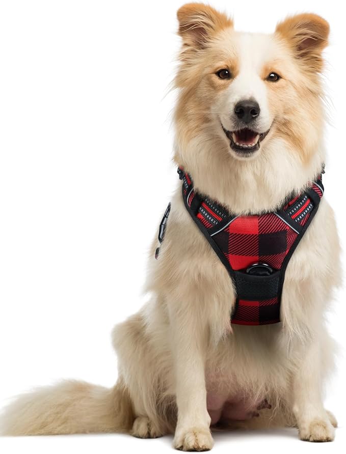 rabbitgoo Dog Harness Medium Sized Dog No Pull, Comfortable Padded Plaid Dog Harness with Handle Easy Control, Adjustable Reflective Puppy Pet Harness Vest with 2 Leash Clips, Red Plaid, M