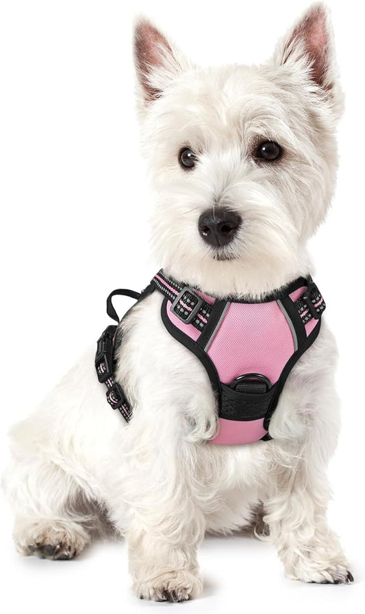 rabbitgoo Dog Harness, No-Pull Pet Harness with 2 Leash Clips, Adjustable Soft Padded Dog Vest, Reflective No-Choke Pet Oxford Vest with Easy Control Handle for Small Dogs, Pink, XS