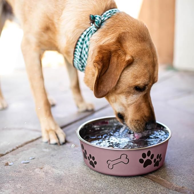 Loving Pets Bella Dog Bowls- Stainless Steel Dog & Cat Bowls - Spill Proof Dog Food Bowl, Cat Bowl, Puppy Essentials & Pet Supplies Great for Home & Travel (X-Large 65-100lbs, Grape)