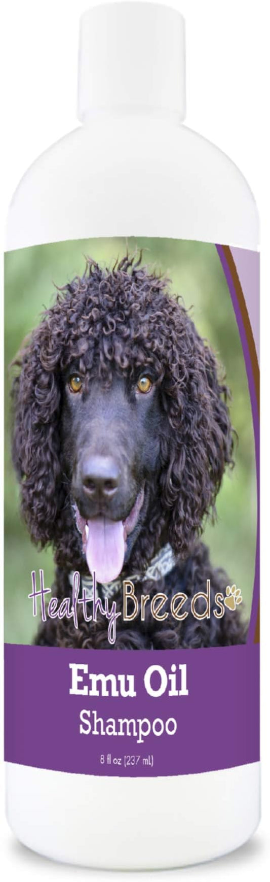 Healthy Breeds Irish Water Spaniel Emu Oil Shampoo - Gentle Cleanser That Provides Soothing Relief of Inflammation While Restoring Moisture Balance - Fruity Scent - 8 oz