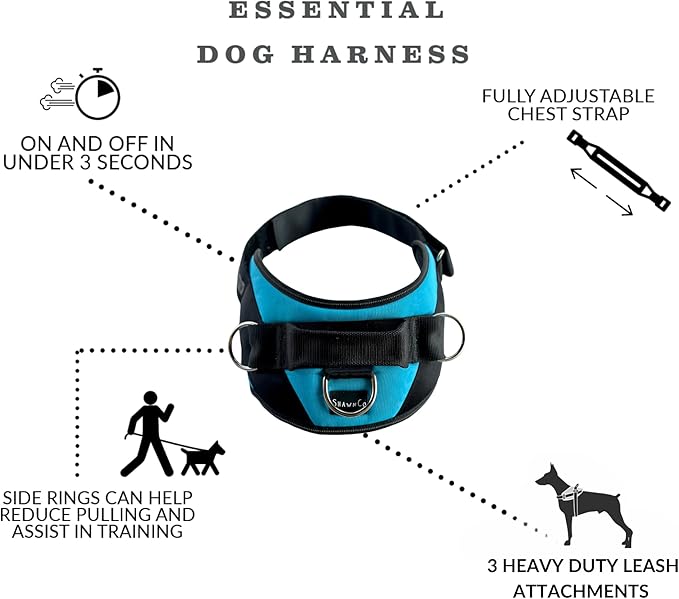 ShawnCo Essential Dog Harness, No-Pull Pet Vest with 3 Leash Clips, No Choke, Reflective, Adjustable and Padded, for Easy Walking and Training for Small, Medium and Large Dogs (Pacific Blue, XS)