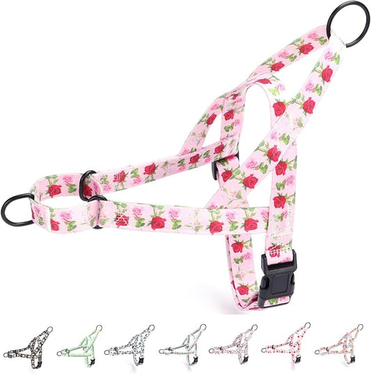 No Pull Dog Harness for Small, Medium, and Large Pets - Floral Pattern Nylon Safety Training Dog Harness (XS, Roses)