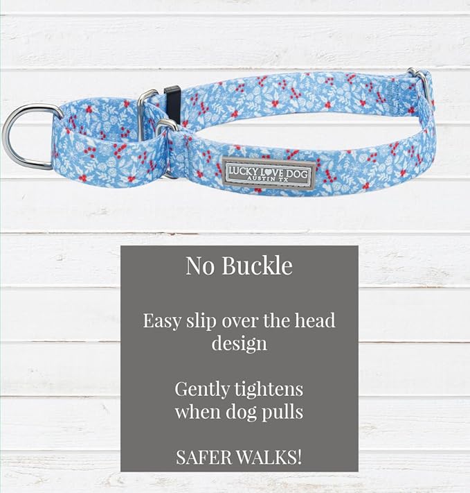 Lucky Love Dog Winter Themed Martingale Collar, Premium No Slip Collar, Snowflake Christmas Martingale Collar for Small Dogs - (Winterblue No Slip, S)
