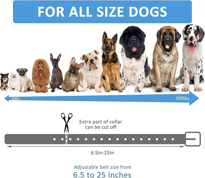 Sparky Pet Co - Surefit ECollar Replacement Strap - Bungee Dog Collar-Waterproof -Adjustable- Secure Nexus Wheel Lock-for Electronic Training & Invisible Fence Systems -3/4" Green