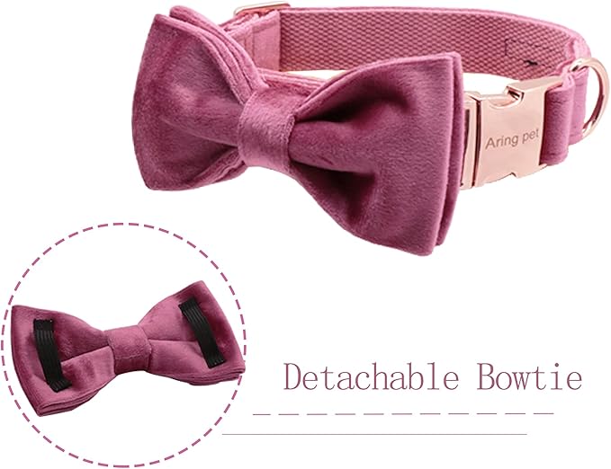ARING PET Bowtie Dog Collar-Velvet Dog Collars with Removable Bowtie, Cute & Comfortable Dog Collar.