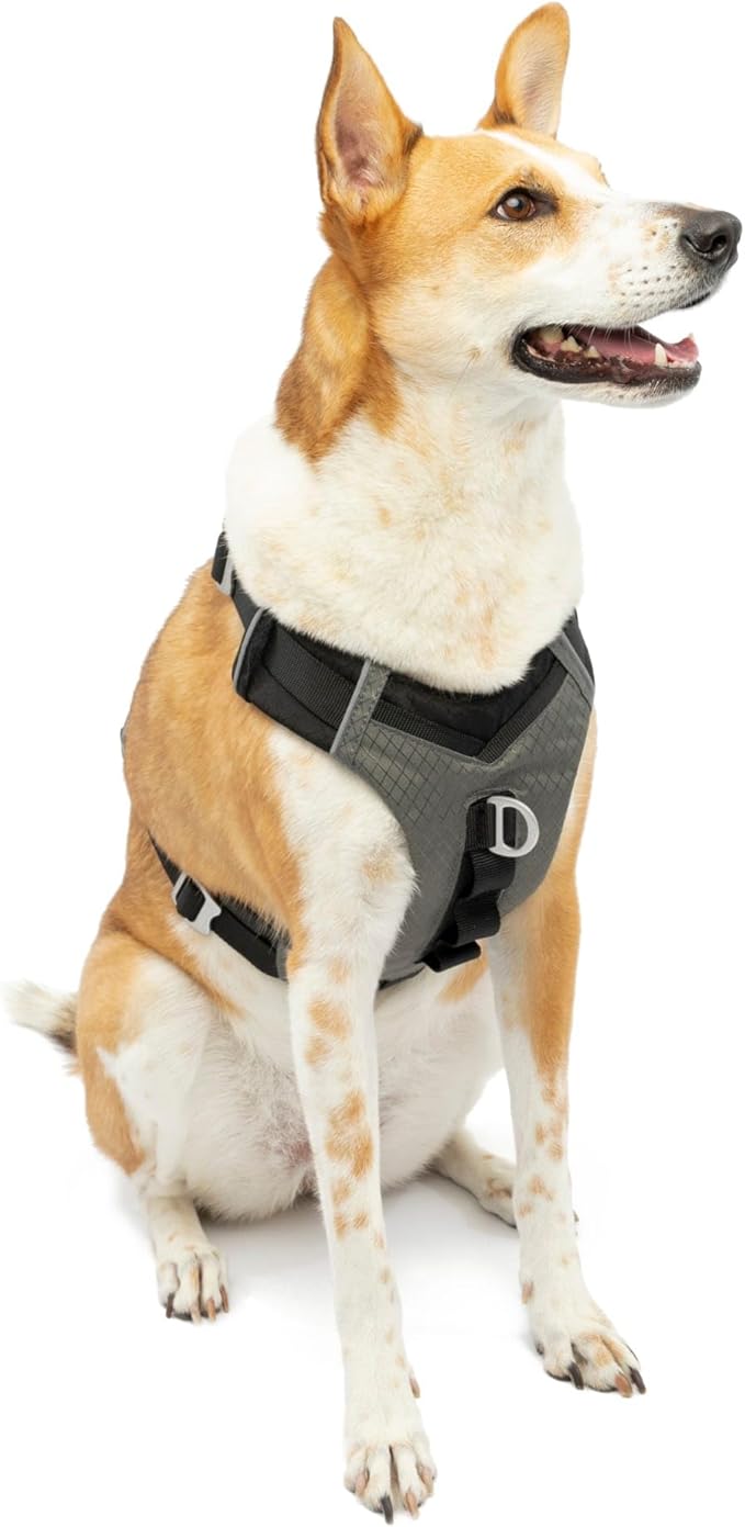 Kurgo Journey Air Dog Harness, Vest Harnesses for Dogs, Pet Hiking Harness for Running & Walking, Reflective, Padded, Includes Control Handle, No Pull Front Clip (Black, Large)