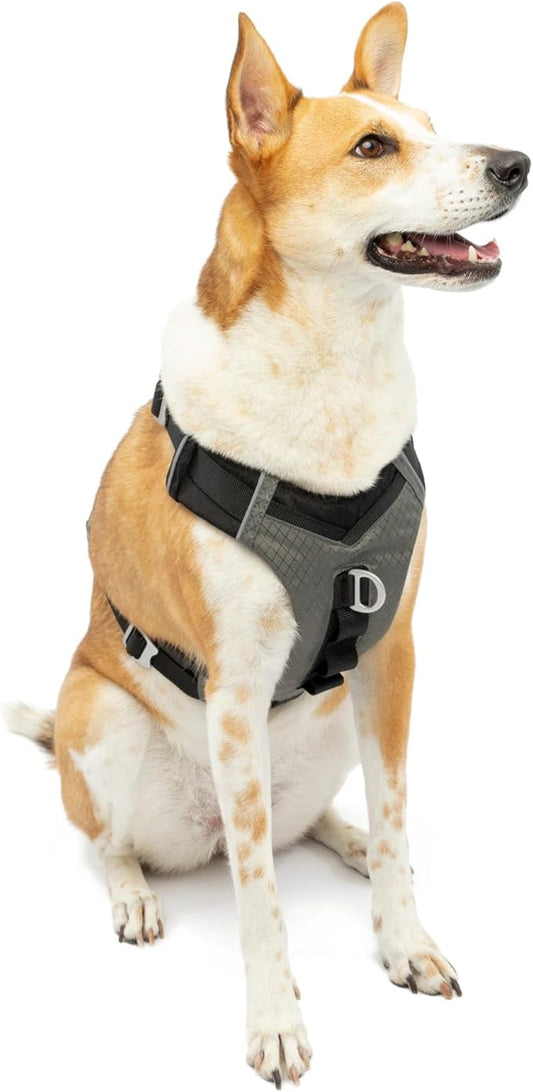 Kurgo Journey Air Dog Harness, Vest Harnesses for Dogs, Pet Hiking Harness for Running & Walking, Reflective, Padded, Includes Control Handle, No Pull Front Clip (Black, Large)
