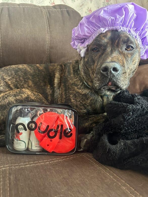 Pets - Gift Set with Travel Bag and Scrubber, Moisturizing and Gentle All Natural pet Shampoos with Aloe and Oatmeal