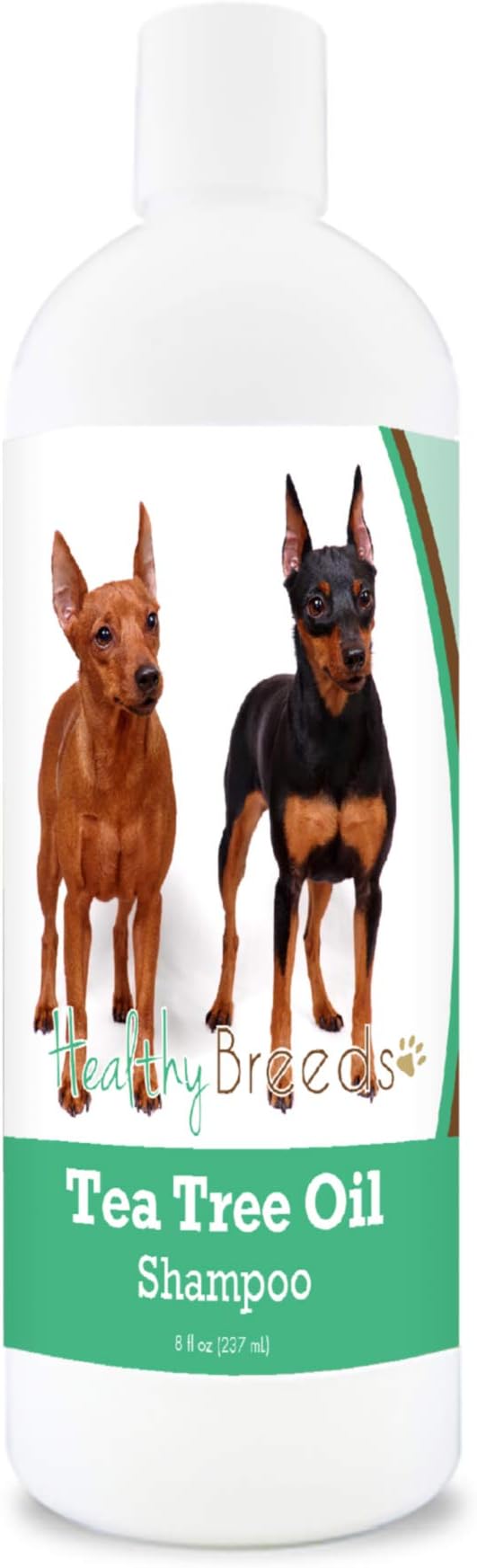 Healthy Breeds Miniature Pinscher Tea Tree Oil Shampoo – Formulated for Dry, Irritated Skin – Reduce Dandruff – Wintergreen Scent – 8 oz