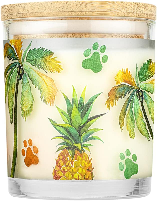 Pet House 9 oz Pina Colada Scented Pet Odor Candle, Clean Burning, Long Lasting, Plant Based Spring, Summer Scented Soy Candles, 60 Hour Burn Time, Pack of 2