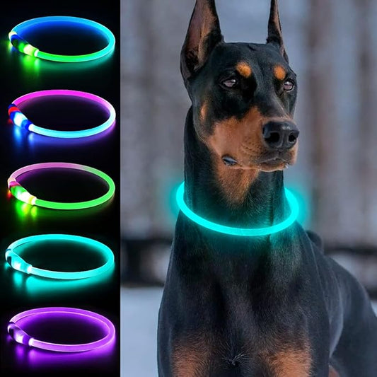 Light Up Dog Collars, Single-Color USB Rechargeable Dlitk LED Dog Collar 1 Count, TPU Cuttable Size Glow Collar for Dogs, Dog Collar Light, Please Do Not Use Fast Charging (Cyan)