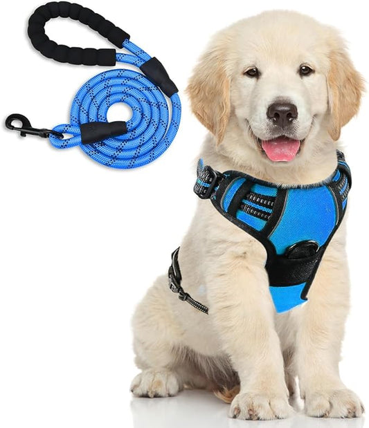 Dog Harness and Leash Duo, No Pull Vest Harness with 5 Ft Leash, Soft padded Vest, No-Choke Oxford Pet Harness, Easy Control Handle and Adjustable Pet Harness (Blue, Medium)
